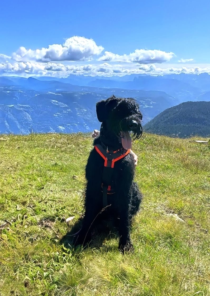 Zart Azart Robusto Evo